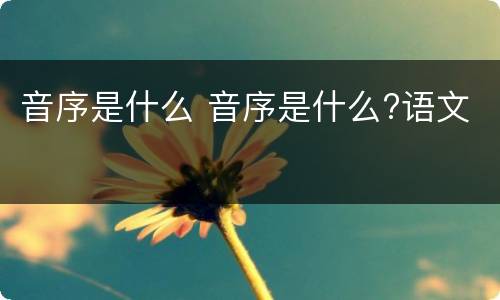 音序是什么 音序是什么?语文