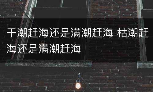 干潮赶海还是满潮赶海 枯潮赶海还是满潮赶海