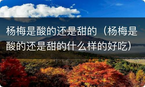 杨梅是酸的还是甜的（杨梅是酸的还是甜的什么样的好吃）