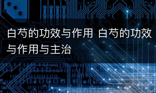白芍的功效与作用 白芍的功效与作用与主治