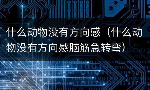 什么动物没有方向感（什么动物没有方向感脑筋急转弯）