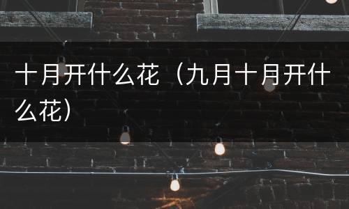 十月开什么花（九月十月开什么花）