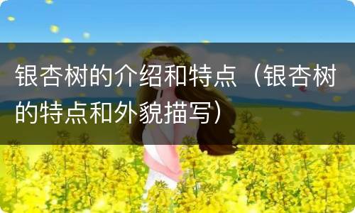 银杏树的介绍和特点（银杏树的特点和外貌描写）