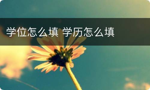 学位怎么填 学历怎么填