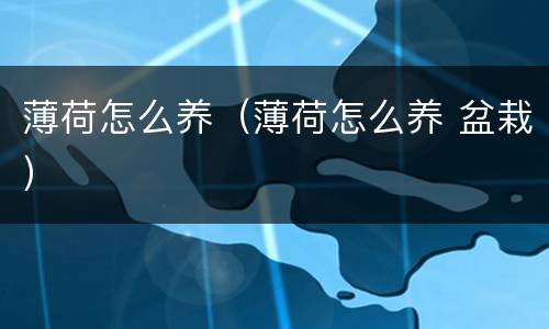 薄荷怎么养（薄荷怎么养 盆栽）