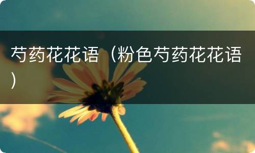 芍药花花语（粉色芍药花花语）