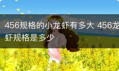 456规格的小龙虾有多大 456龙虾规格是多少