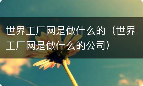 世界工厂网是做什么的（世界工厂网是做什么的公司）