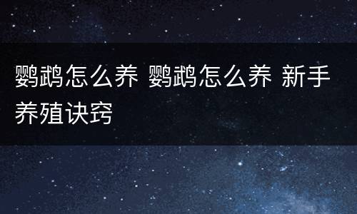 鹦鹉怎么养 鹦鹉怎么养 新手养殖诀窍