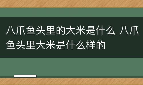 八爪鱼头里的大米是什么 八爪鱼头里大米是什么样的