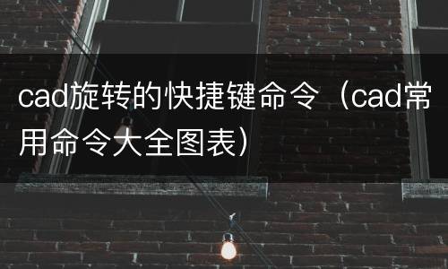 cad旋转的快捷键命令（cad常用命令大全图表）