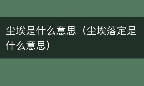 尘埃是什么意思（尘埃落定是什么意思）