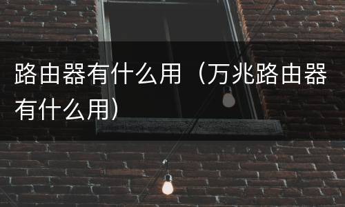 路由器有什么用（万兆路由器有什么用）