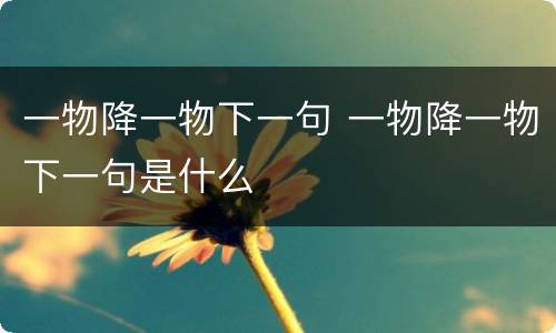 一物降一物下一句 一物降一物下一句是什么