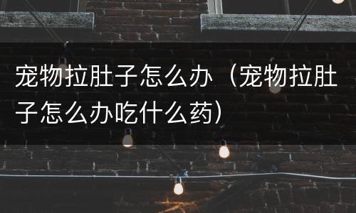 宠物拉肚子怎么办（宠物拉肚子怎么办吃什么药）