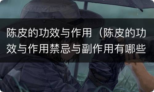 陈皮的功效与作用（陈皮的功效与作用禁忌与副作用有哪些）