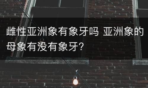 雌性亚洲象有象牙吗 亚洲象的母象有没有象牙?