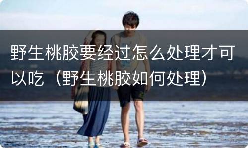 野生桃胶要经过怎么处理才可以吃（野生桃胶如何处理）