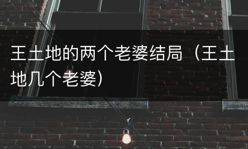 王土地的两个老婆结局（王土地几个老婆）