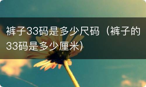 裤子33码是多少尺码（裤子的33码是多少厘米）