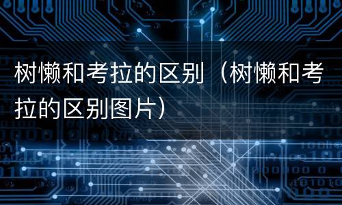 树懒和考拉的区别（树懒和考拉的区别图片）