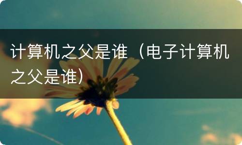 计算机之父是谁（电子计算机之父是谁）