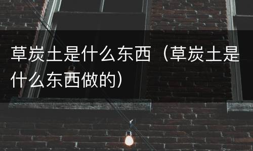草炭土是什么东西（草炭土是什么东西做的）