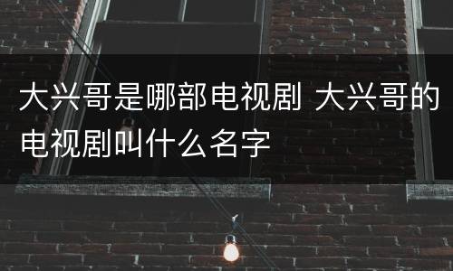 大兴哥是哪部电视剧 大兴哥的电视剧叫什么名字