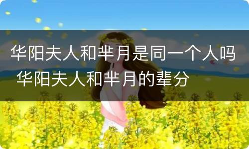 华阳夫人和芈月是同一个人吗 华阳夫人和芈月的辈分