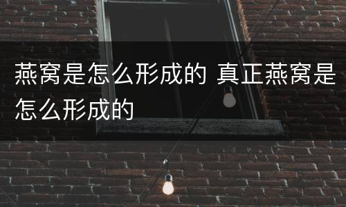 燕窝是怎么形成的 真正燕窝是怎么形成的