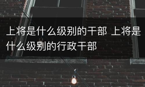 上将是什么级别的干部 上将是什么级别的行政干部