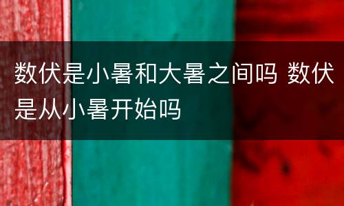数伏是小暑和大暑之间吗 数伏是从小暑开始吗