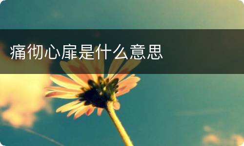 痛彻心扉是什么意思