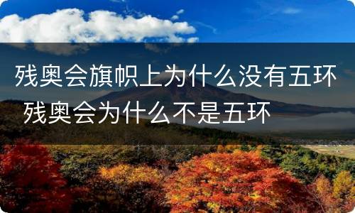残奥会旗帜上为什么没有五环 残奥会为什么不是五环