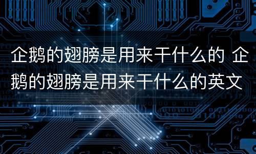 企鹅的翅膀是用来干什么的 企鹅的翅膀是用来干什么的英文