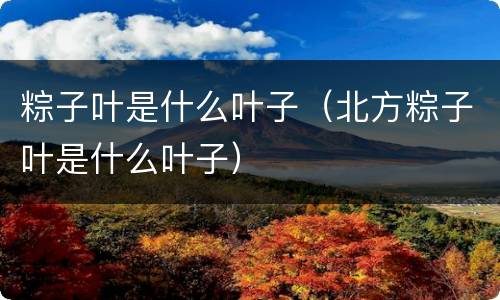 粽子叶是什么叶子（北方粽子叶是什么叶子）