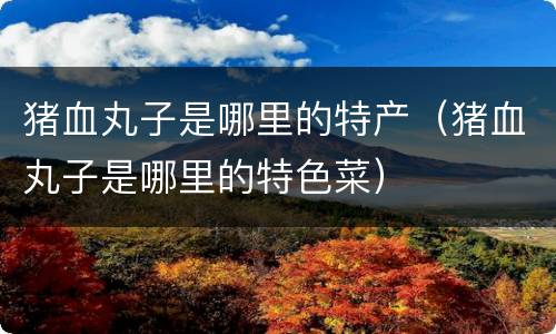 猪血丸子是哪里的特产（猪血丸子是哪里的特色菜）