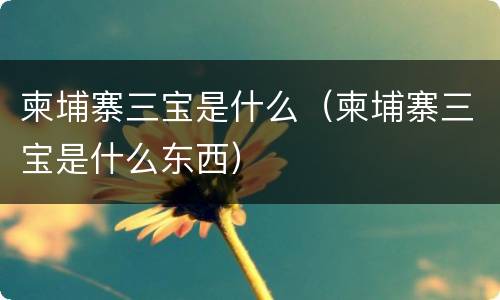 柬埔寨三宝是什么（柬埔寨三宝是什么东西）