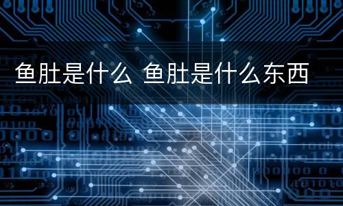 鱼肚是什么 鱼肚是什么东西