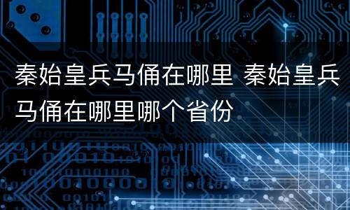 秦始皇兵马俑在哪里 秦始皇兵马俑在哪里哪个省份