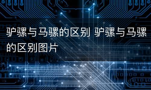 驴骡与马骡的区别 驴骡与马骡的区别图片