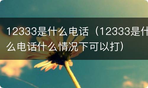 12333是什么电话（12333是什么电话什么情况下可以打）