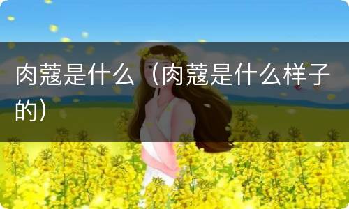肉蔻是什么（肉蔻是什么样子的）