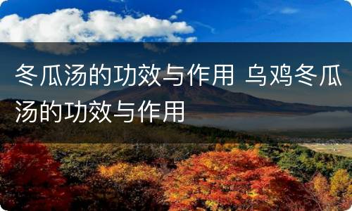 冬瓜汤的功效与作用 乌鸡冬瓜汤的功效与作用
