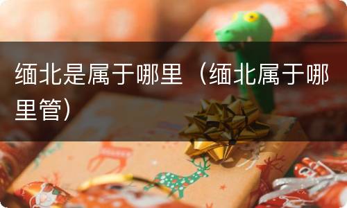 缅北是属于哪里（缅北属于哪里管）