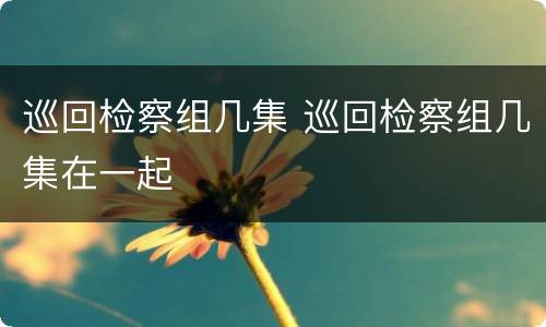 巡回检察组几集 巡回检察组几集在一起