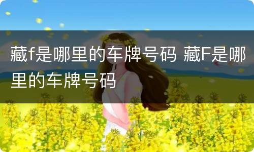藏f是哪里的车牌号码 藏F是哪里的车牌号码