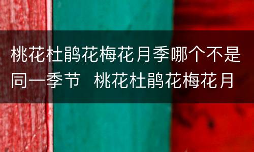 桃花杜鹃花梅花月季哪个不是同一季节  桃花杜鹃花梅花月季中哪种花不在同一季节