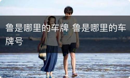 鲁是哪里的车牌 鲁是哪里的车牌号