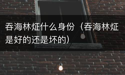 吞海林炡什么身份（吞海林炡是好的还是坏的）